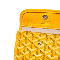 Goyard Anjou Mini bag