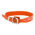 files/UntitledProject_2_e625e1c9-89a4-420c-af95-ed3d7a0fce3b.png